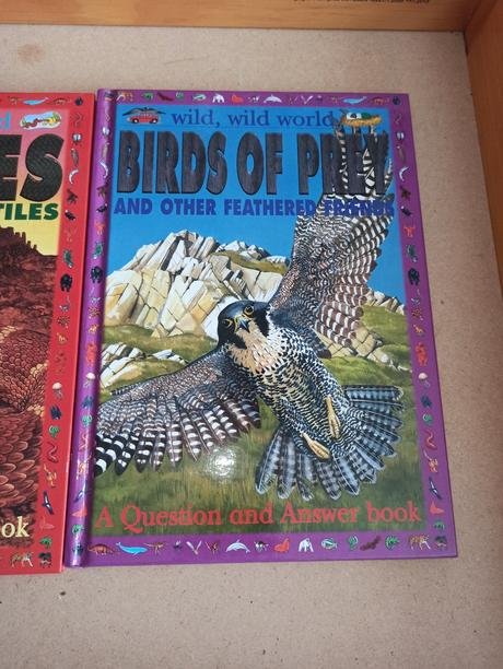 Wild wild world - spiders / snakes,