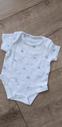 Body dinosaurus, f&f,56