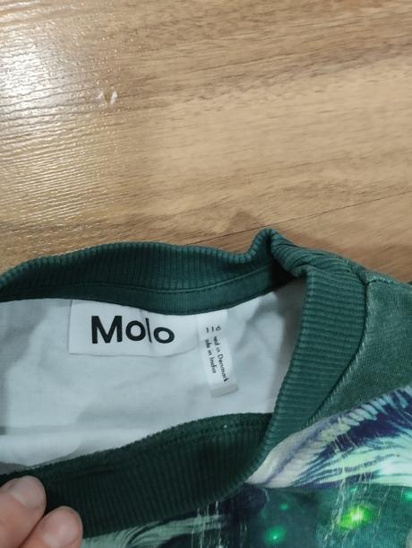 Mikiny s dinosaury molo, 116