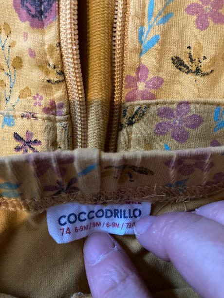 Coccodrillo súprava, coccodrillo,74