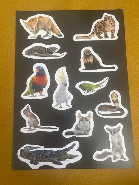 Magnetky exotické zvieratá, 