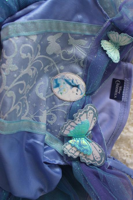 Parochňa popoluška,