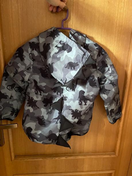 Vetrovka s dinosaurami, f&f,116