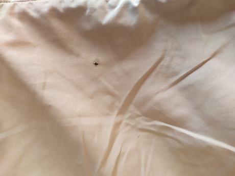 Pánske nohavice m, m