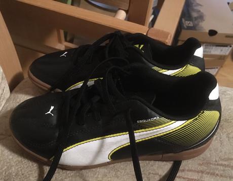 Halovky puma, puma,33