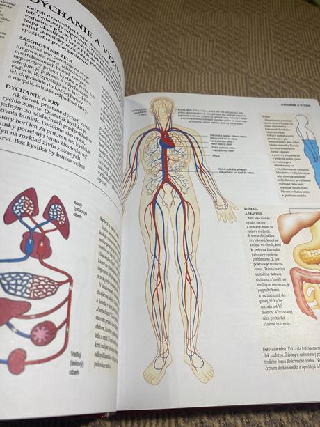Školská encyklopédia svet poznania v jedinom zväzk,