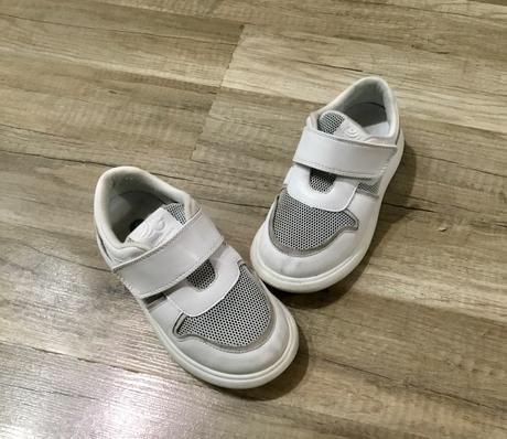 Tenisky littlebluelamb, little blue lamb,29