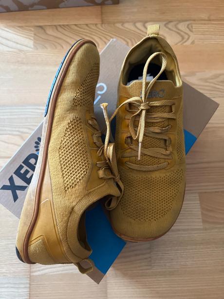 Xeroshoes nexus knit gold, 40