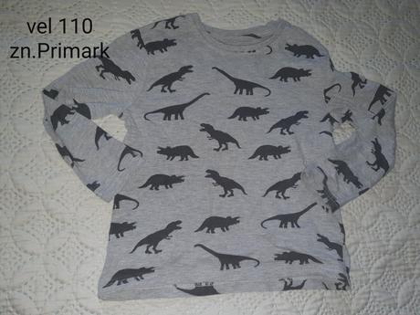 Tricko sede dino, 110