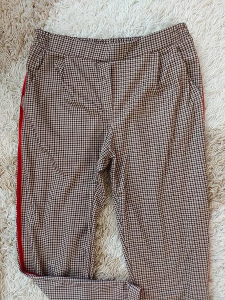 Nohavky calliope, calliope,l