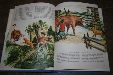 Kniha dobrodružných príbehov z ameriky v nemčine,