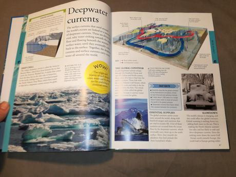 Dk ocean a children's encyclopedia nau22, 