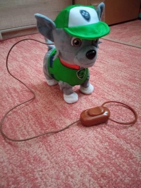 Chodiaci psík rocky z paw patrol, 