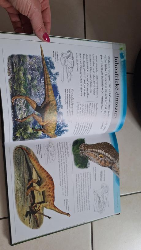 Dinosaury enciklopedia,