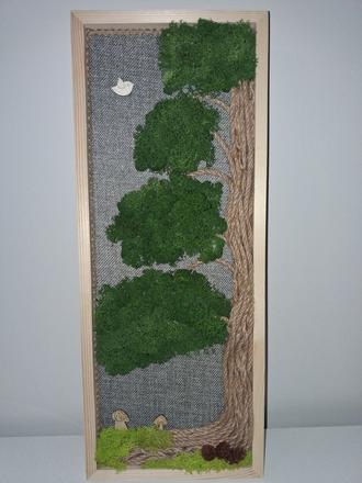 Machový obraz sekvoja,