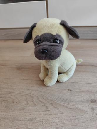 Psík,
