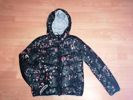 Damska bunda,s, new yorker,s