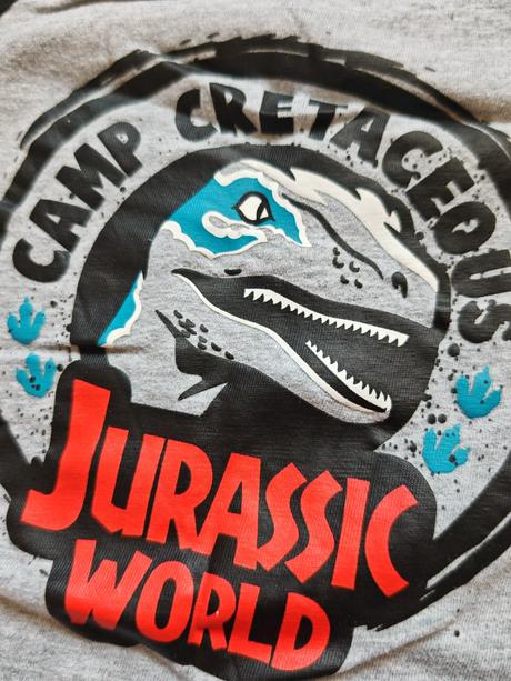 Tielko dinosaurus, 98