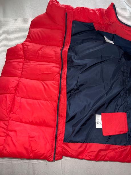 Vesta primigi, primigi,122