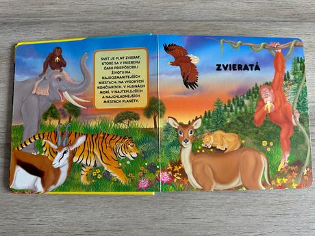 Kniha zvieratá kresli a uč sa hrou,