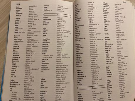 Kniha taliančina pre samoukov,