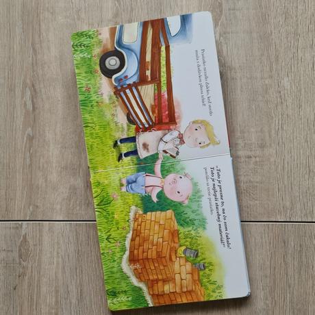 O troch prasiatkach,