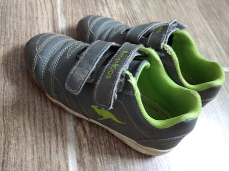 Botasky kangaroos, kangaroos,28