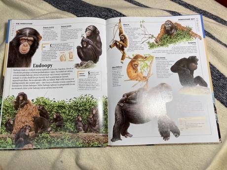 Encyklopédia zvieratá, 