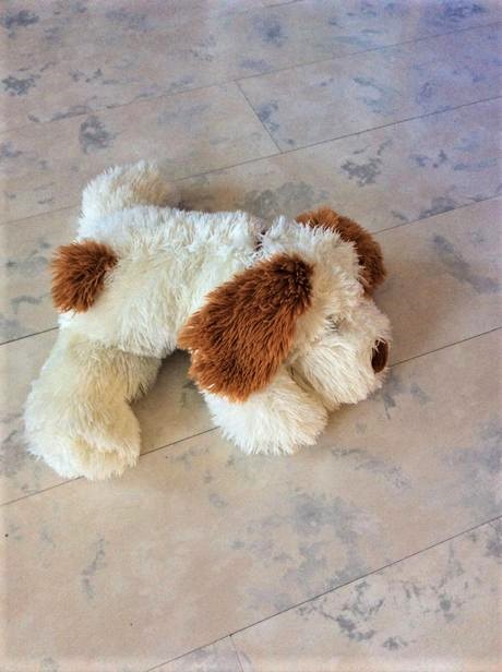 Veľký mäkký strapatý psík, 