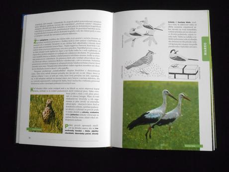 Kniha prechádzky slovenskou prírodou, 