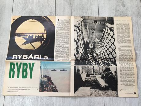 Casopis svet socializmu 25, 19. 6. 1973, 