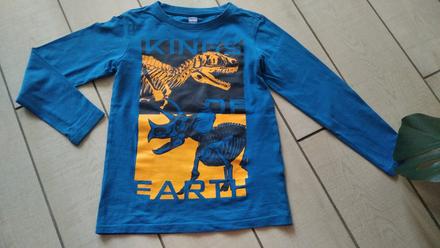 Modré tričko s dinosaurami, dopodopo,122