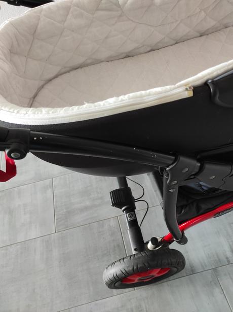 Kočík camarelo sevilla, camarelo,camarelo sevilla