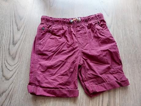 Kratasy, st. bernard,116