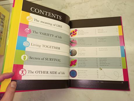 Robert winston - that's life hb,