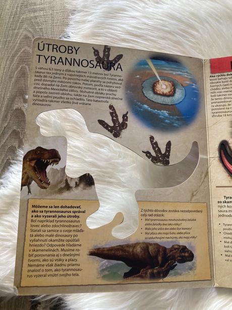 Pozrite sa do útrob dinosaura tyrannosaura,