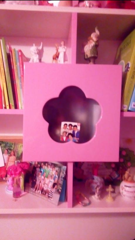 Ružová zasúvacia skriňa, 