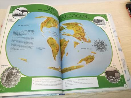 Martin ince drift nsp21, 