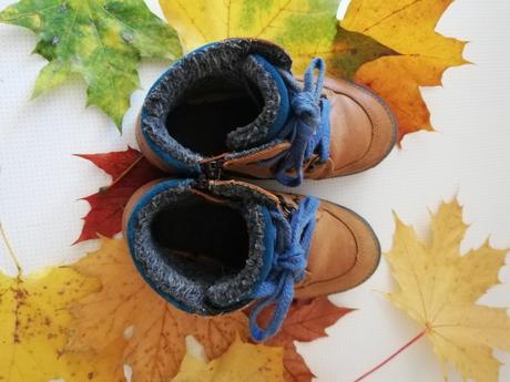 Zimné d. d. step, d.d.step,29