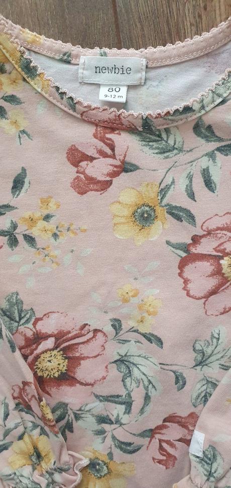 Body newbie v.80, newbie,80