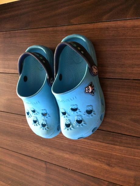 Crocs,coqui, coqui,28