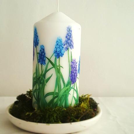 Jarná sviečka "modricový záhon", 