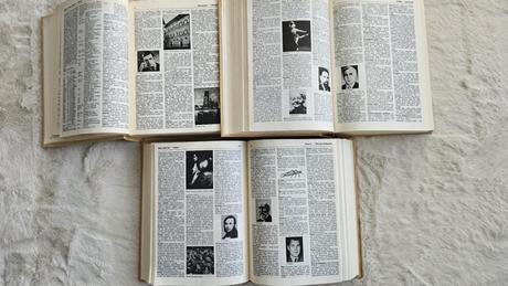 Ilustrovaný encyklopedický slovník 1-3, 