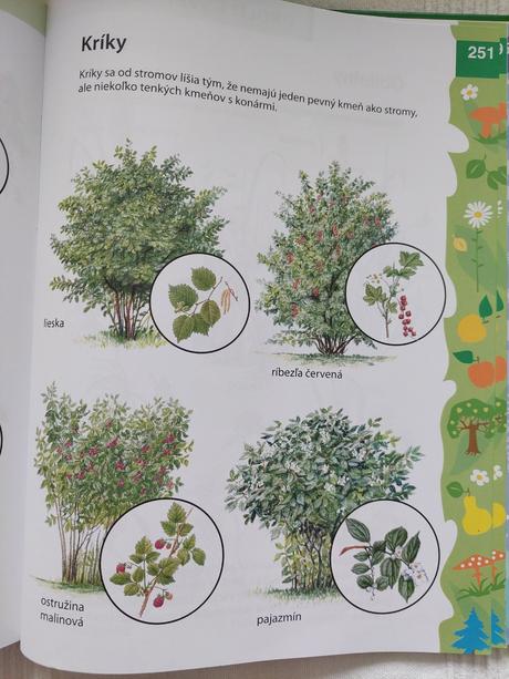 Encyklopédia predškoláka,