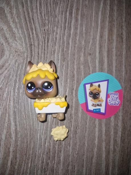 Littlest pet shop doga, 