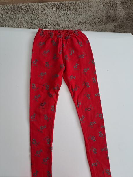 Teplejsie leginy 146, 146