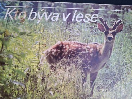 Posledná šanca - kus 0,15e,