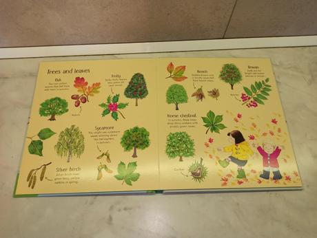 Poppy and sam's nature spotting book, 