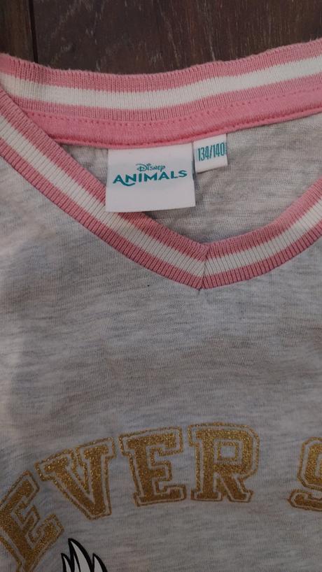 Nocna kosela, disney,134