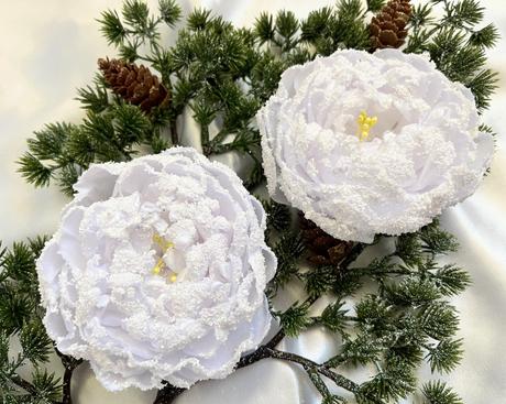 Zimná pivonka s kúzlom snehu a mrazu, 